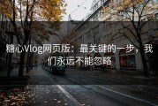 糖心Vlog网页版：最关键的一步，我们永远不能忽略